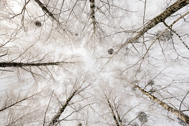 Similar image 9875930