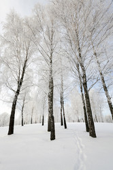 Similar image 9875934