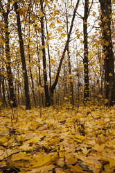 Similar image 9875947