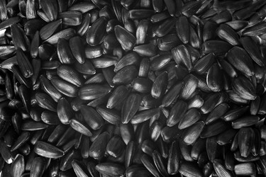 Similar image 9875969