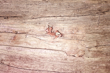 Similar image 9875991