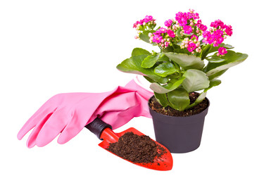 Similar image 9875994