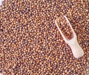 Similar image 9876168