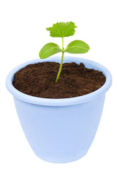 Similar image 9876263