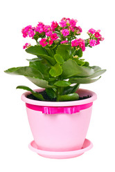 Similar image 9876268