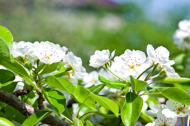 Similar image 9876276