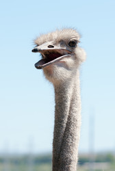 Similar image 9876304