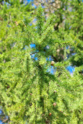 Similar image 9876928