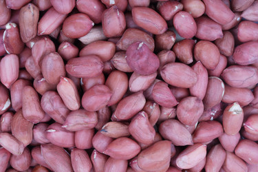 Similar image 9876936