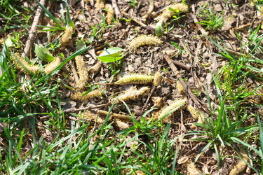 Similar image 9877044