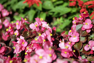 Similar image 9877046