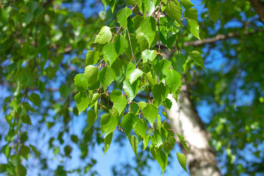 Similar image 9877049