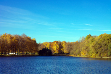 Similar image 9877050