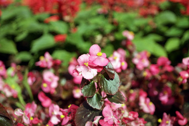 Similar image 9877055