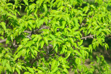 Similar image 9877057