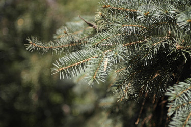 Similar image 9877063