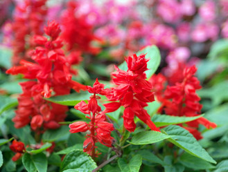 Similar image 9877077