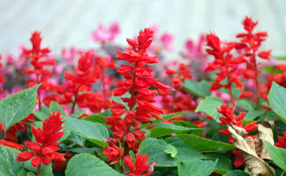 Similar image 9877079