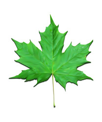 Similar image 9877116