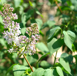 Similar image 9877200