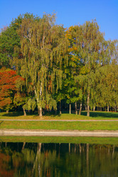 Similar image 9877203