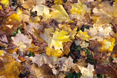 Similar image 9877209