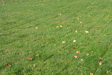 Similar image 9877217