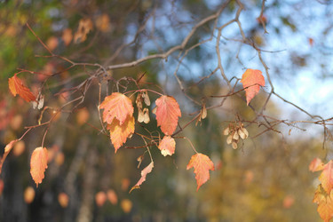 Similar image 9877222