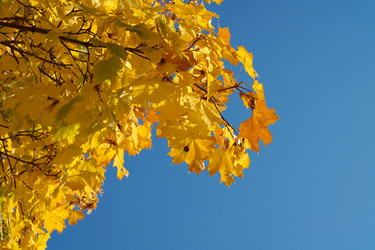 Similar image 9877230