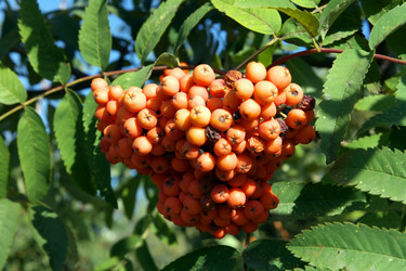 Similar image 9877239