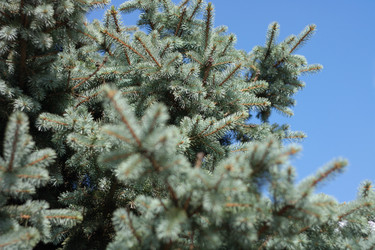 Similar image 9877912