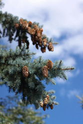 Similar image 9877917