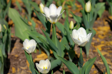 Similar image 9877924