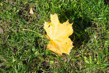 Similar image 9877927