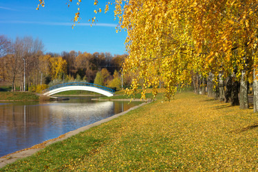 Similar image 9877940