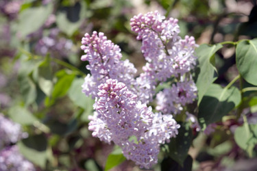 Similar image 9877955