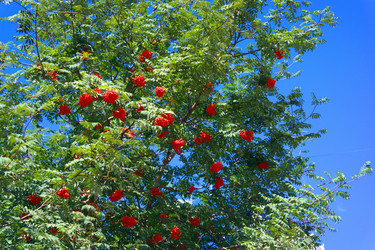 Similar image 9877960