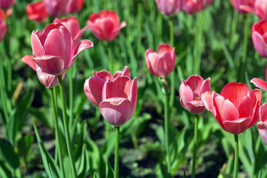 Similar image 9877964