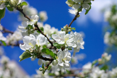 Similar image 9877975