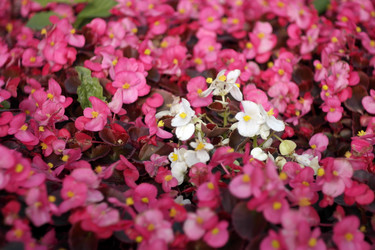 Similar image 9877982