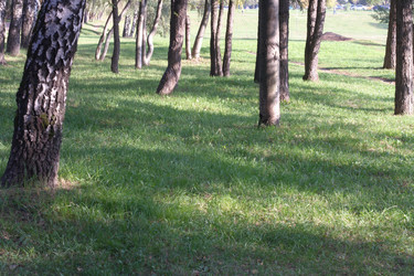 Similar image 9877984