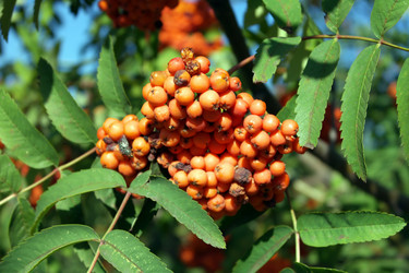 Similar image 9877986