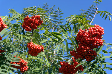 Similar image 9877990