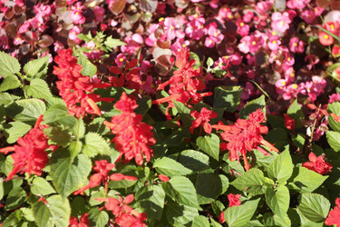 Similar image 9878004