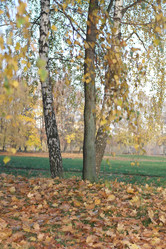 Similar image 9878006