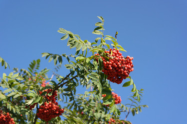 Similar image 9878011