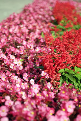 Similar image 9878024