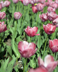 Similar image 9878025