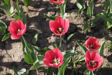 Similar image 9878027