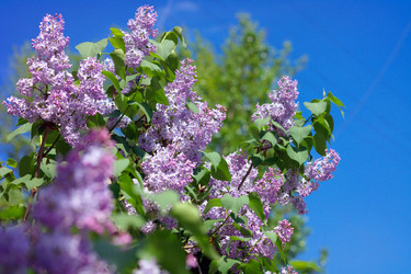 Similar image 9878031